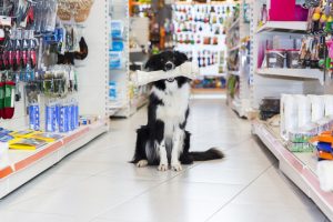 ​Profitable Arizona Pet Supply and Feed Store